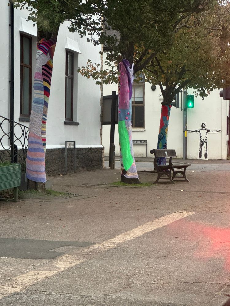 Three trees growing from a suburban pavement. Their trunks are covered with brightly coloured knitted material 