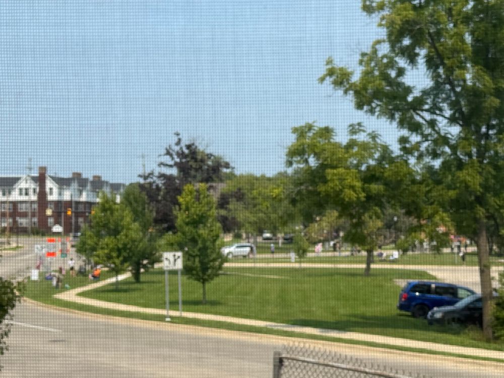 Shit photo taken through a window screen of about 20 people far away holding signs and standing on a rounded street sidewalk with a number of small trees