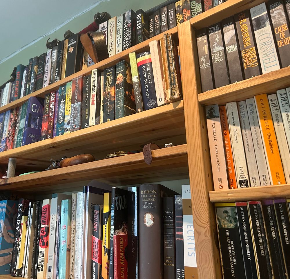 A set of overfull bookshelves with a lot of books ranging from fantasy to classics with a few texts like Lacan’s Ecrits and Joyce’s Ulysses that have been put there like the image has been curated.) On top of the books, a set of Viking Age larp weapons and what seems to be a flintlock pistol. These people are dangerous