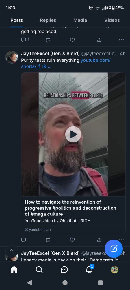 Jay thee Excel skeets: Purity tests ruin everything, Linking to a YouTube video called "how to navigate the reinvention of progressive"