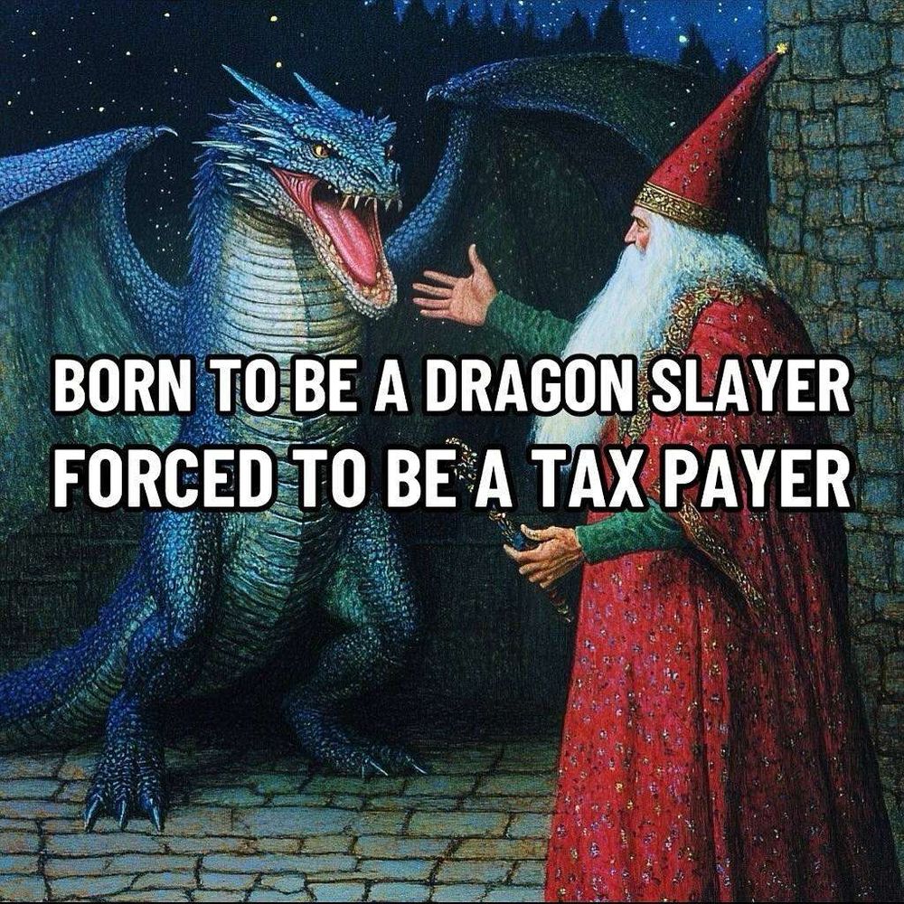 a wizard in a red robe faces off against a dragon with the text 'born to be a dragon slayer forced to be a tax payer'