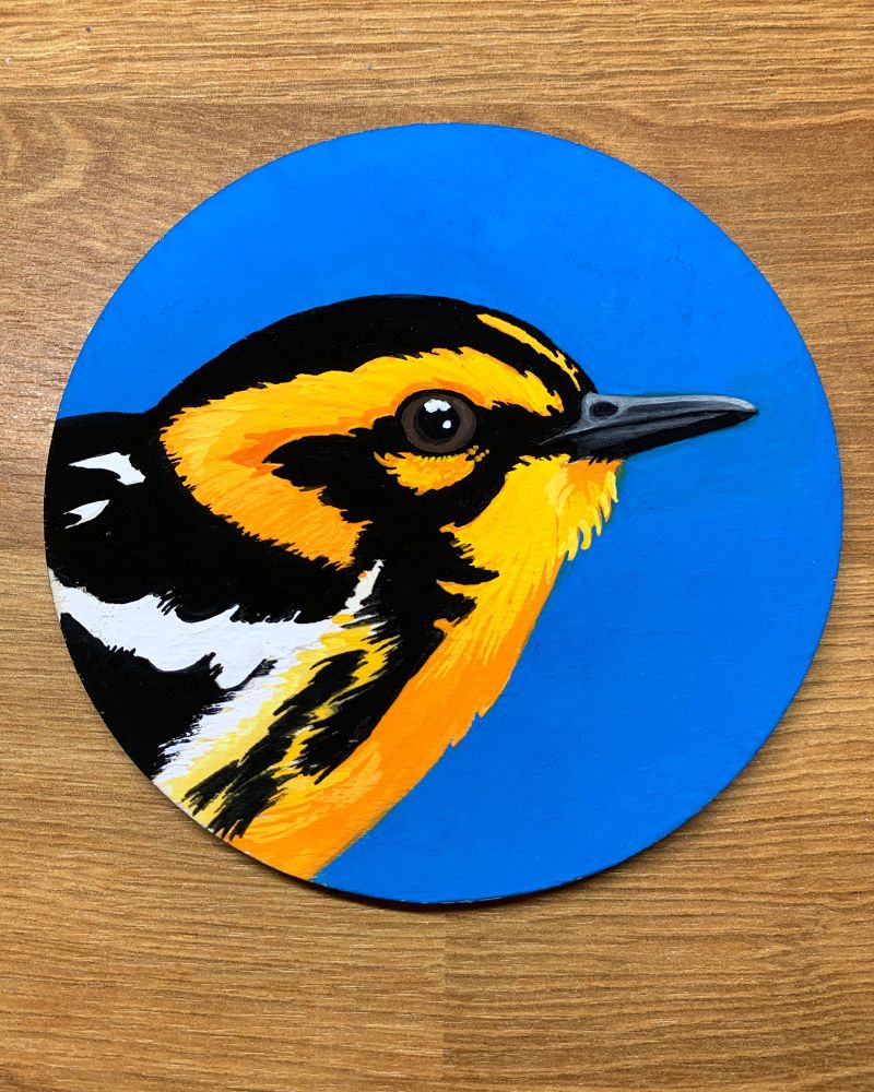 Round painting of a portrait of a bird that is neon orange with bold black markings with a cerulean blue background