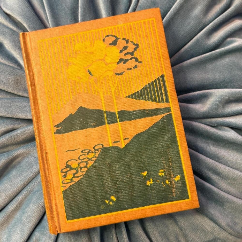 a hand-bound journal with an old book cover. the orange cover depicts a lake view and the silhouette of mountains in the distance. two tall trees stand in the center.