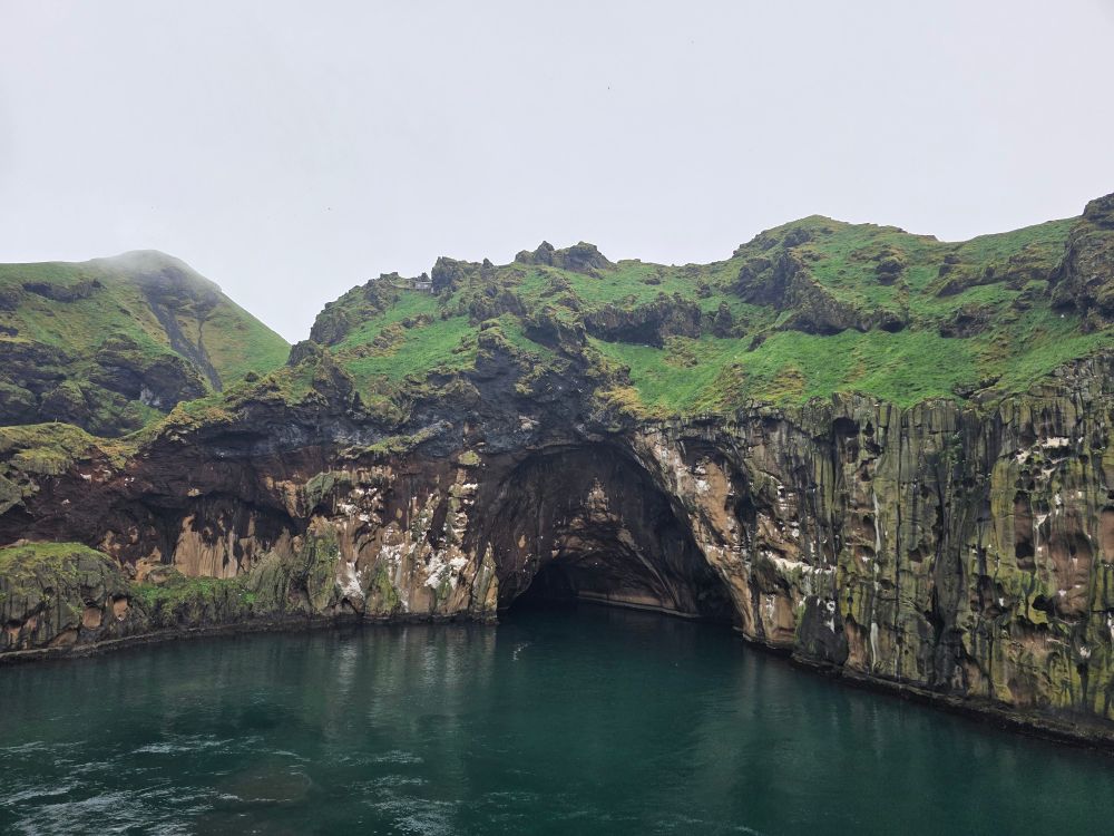 Brilliant green grass tops a sheer cliff that vanishes beneath a green-blue sea. The water is remarkably calm. If one were to look extremely closely at the grass, one would see thousands upon thousands of puffins - which are honestly adorable birds.