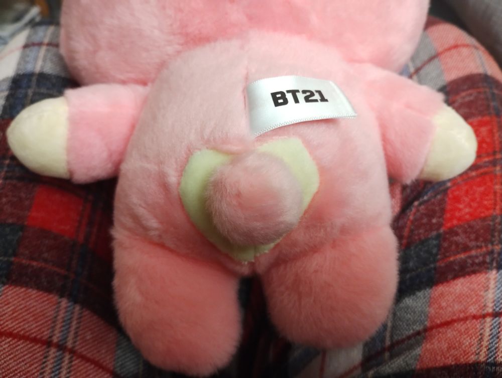 Cooky's pink fluffy tail, surrounded by a heart.