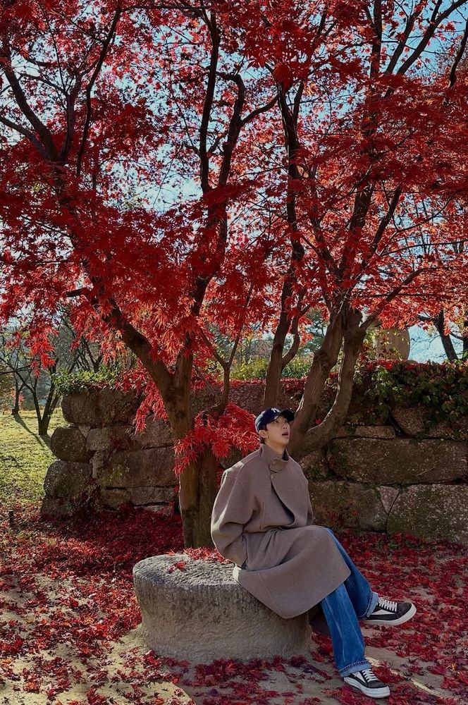 Joonie sitting under a beautiful red-leafed tree, wearing a big warm coat.