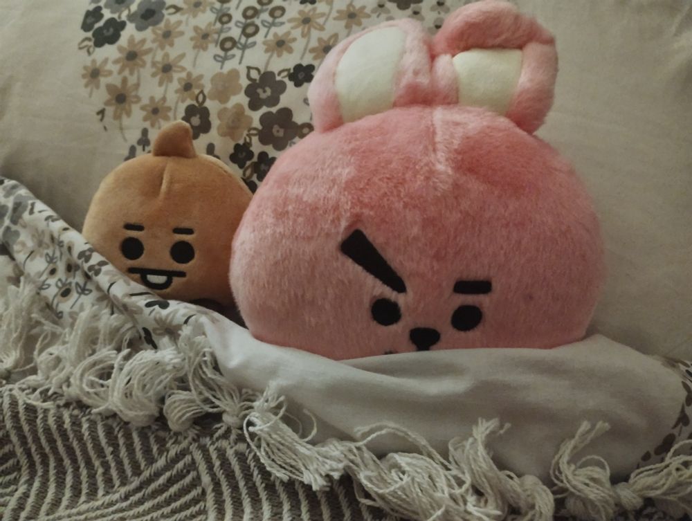A cooky plushie and a much smaller baby shooky plushie tucked up in bed together.