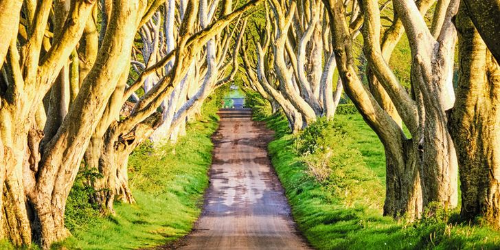 Reform of Stormont: Options for Discussion