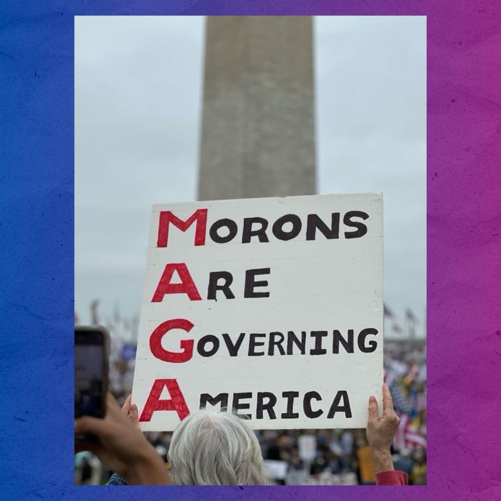 A photo from the DC Hands Off! event with the Washington Monument in the background and a protest sign that reads
“MORONS
ARE
GOVERNING
AMERICA.”