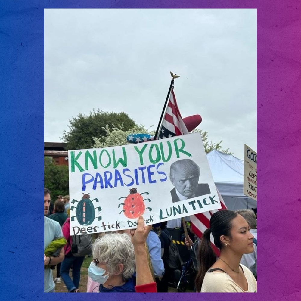 A photo from the DC Hands Off! rally of a protest sign that reads “KNOW YOUR PARASITES:
Deer tick
LUNA TICK (next to an image of Trump).”