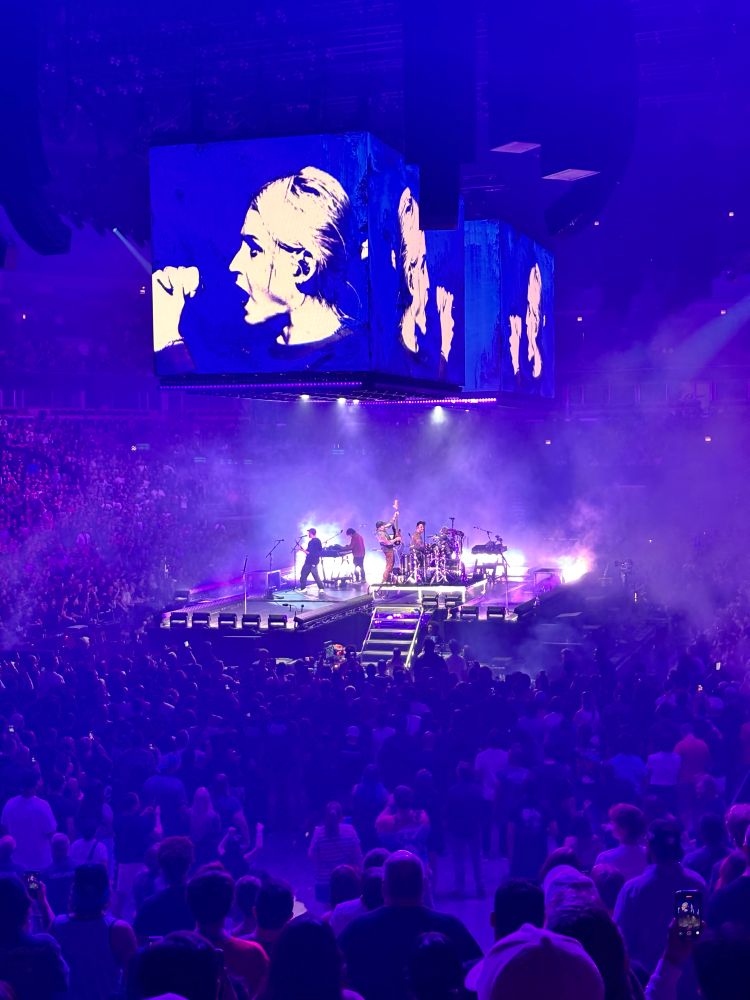 View of the stage and surrounding fans in a dark purple light. The band is playing The Emptiness Machine, and singer Emily Armstrong’s face is in view on the huge screens above.