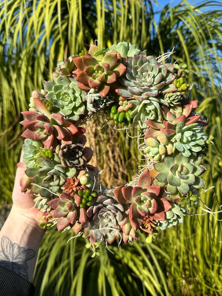8 inch full wreath $50