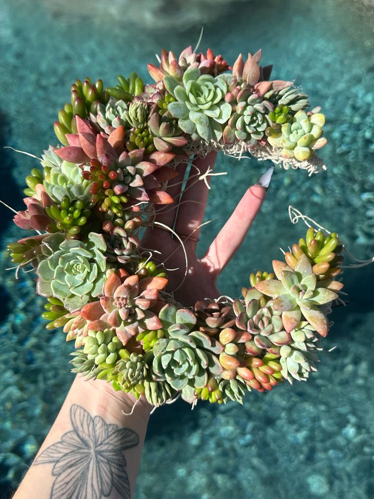 a moon shaped wreath filled with various succulents 