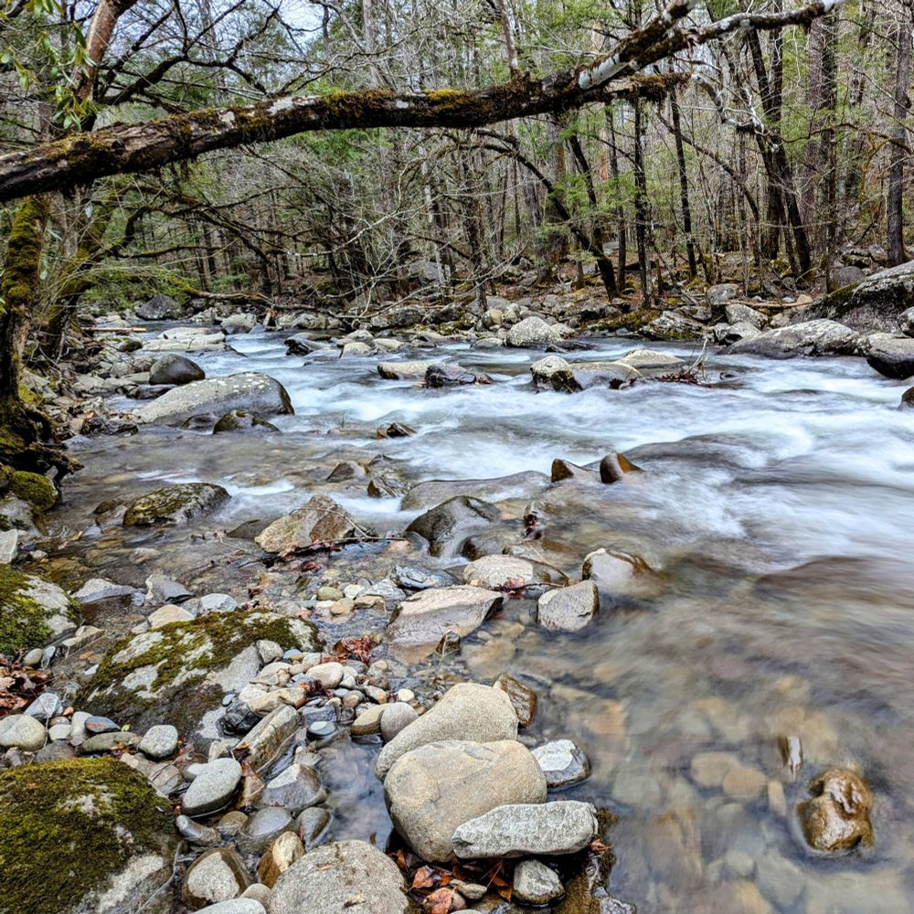 View of a river in the Smoky Mountains with clear turbulent water, large rocks, and trees on both banks