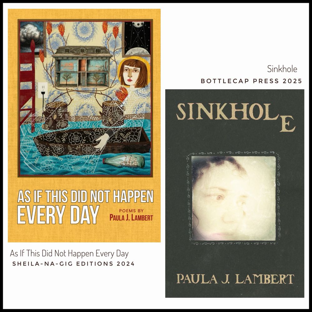 Covers of my two most recent books. Full info on website listed in post. 