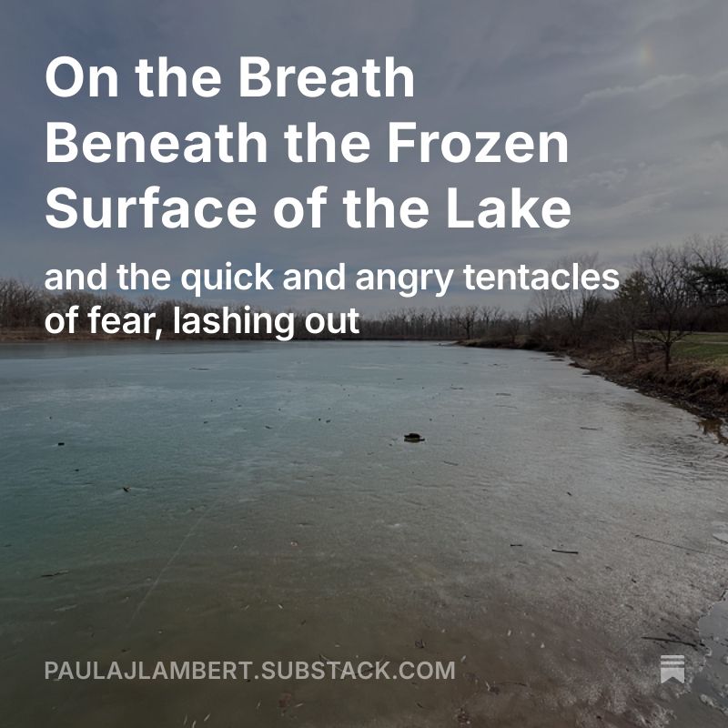 Photo of a frozen pond with the essay title written across it. 