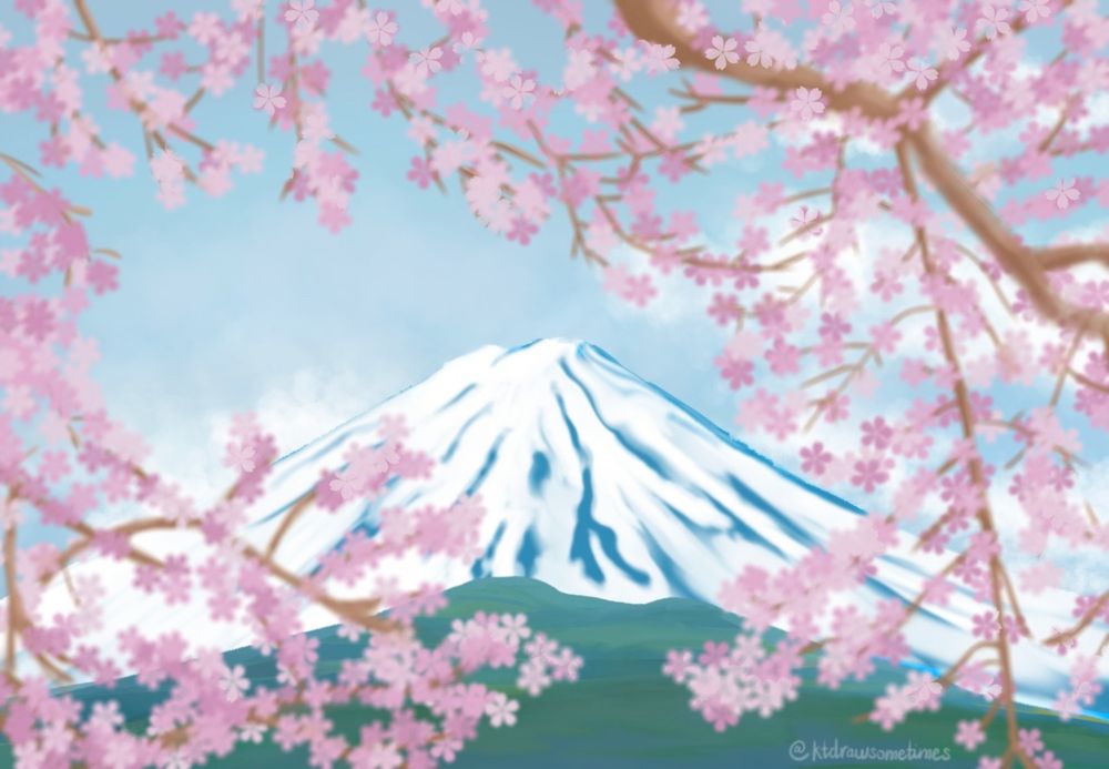 mount fuji with cherry blossoms blooming in the corners of the drawing, indicating spring time