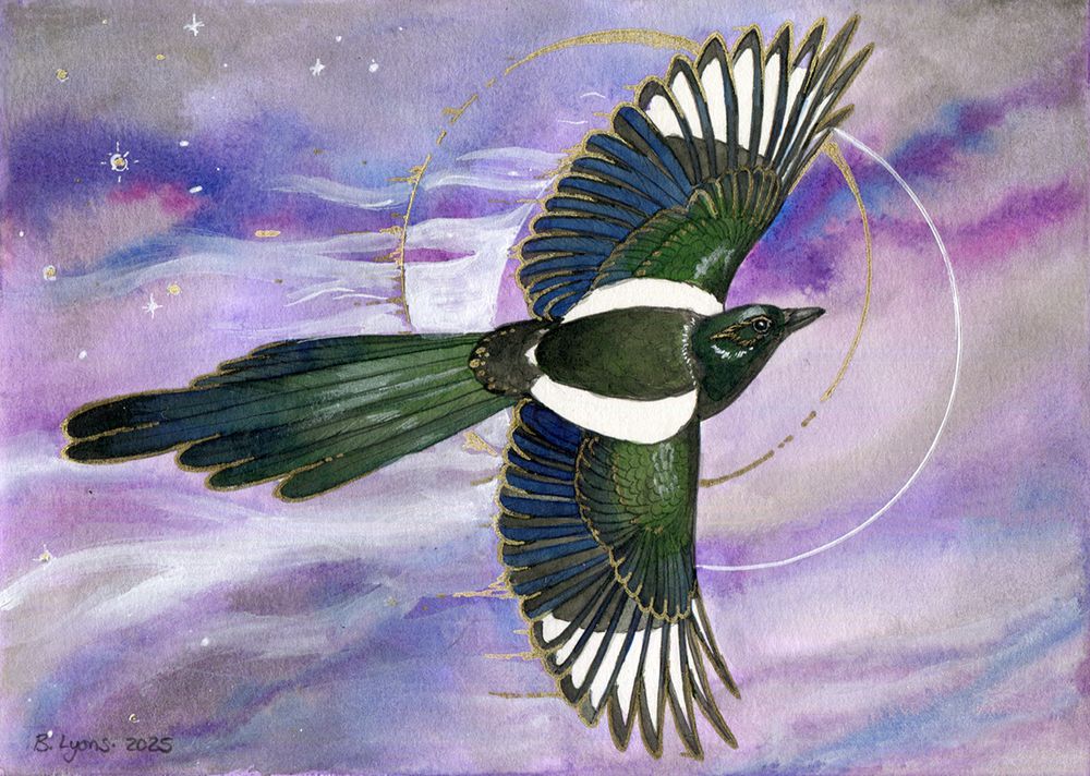 A magpie flying with a gold and white circle, blending out in front of a colorful, dreamlike background.