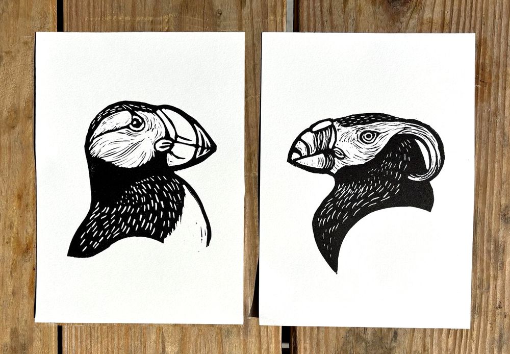 Two block prints. On the left is a stylized horned puffin, and on the right is a stylized tufted puffin.