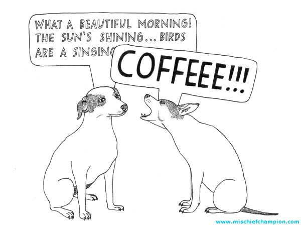 Happy dog speaking positivity interrupted by grumpy dog yelling “COFFEEE!!!”
