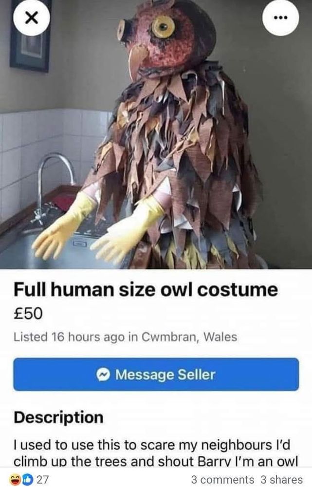Facebook marketplace advert for a full human size owl costume. A snip at fifty quid.  