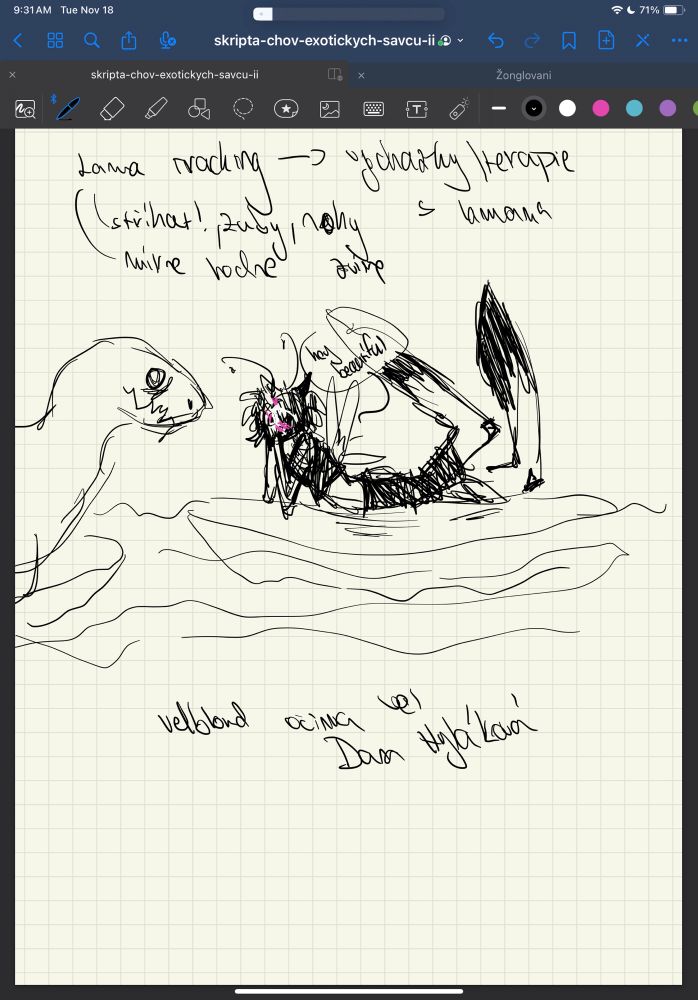 School scribbles before learning how to draw these creatures