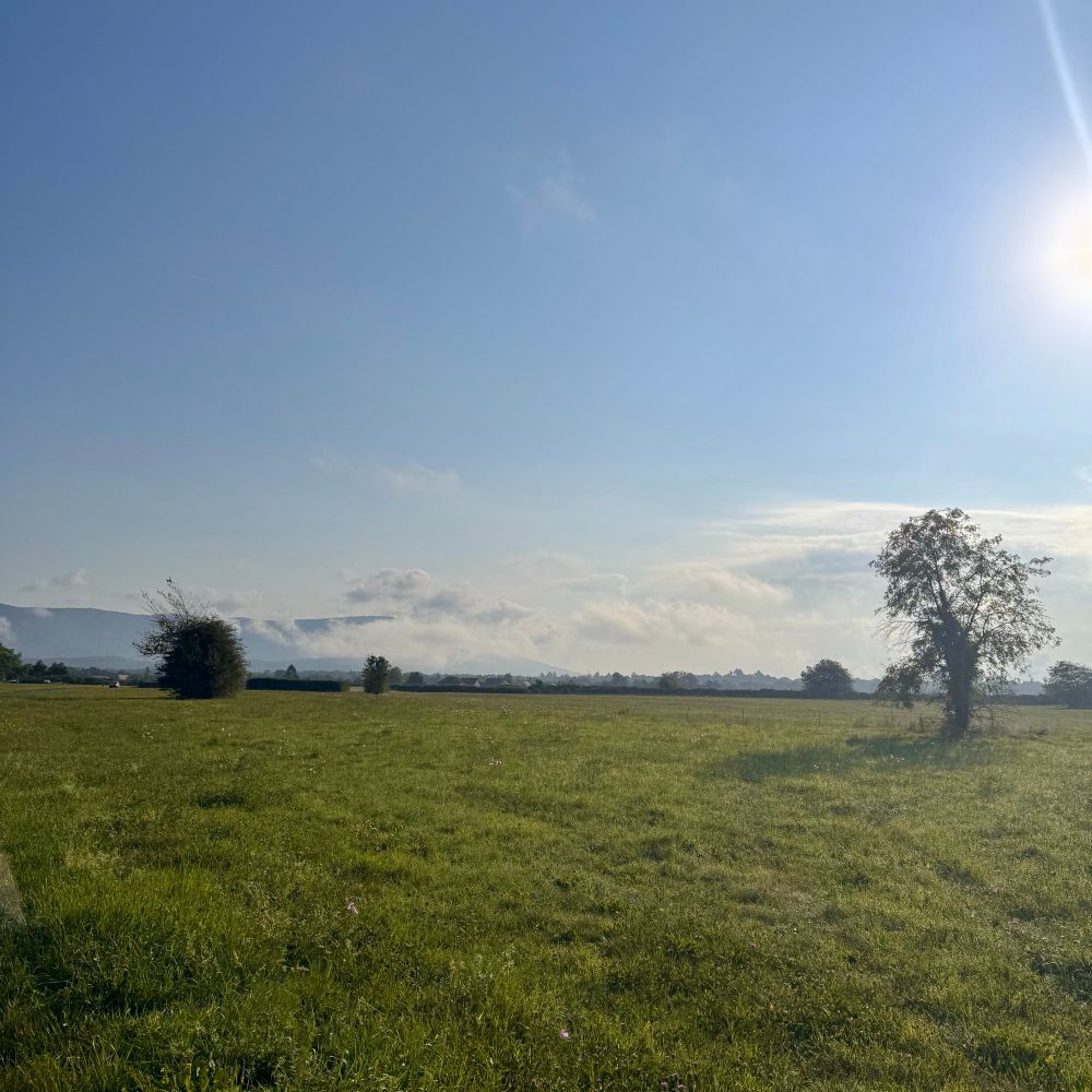 A grass meadow with sparse trees with green hills in the background under a blue sky with some low cloud clinging to the hills