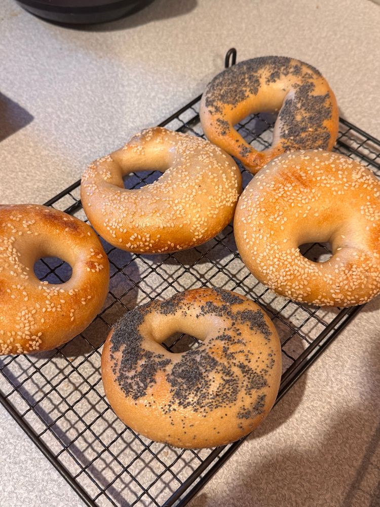 Five bagels on a cooling rack, fresh from the oven. Three have sesame seed topping, two have poppy seeds