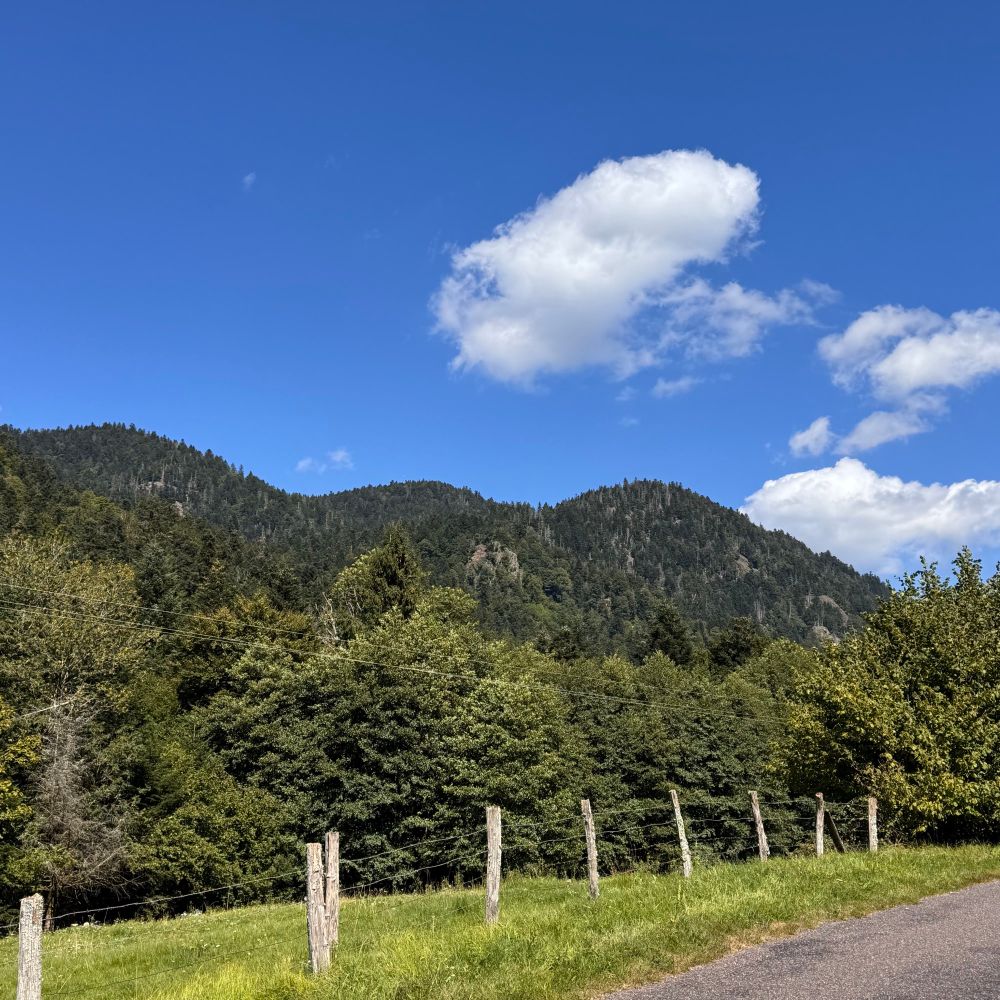 Blue skies, green mountains, fence in foreground 