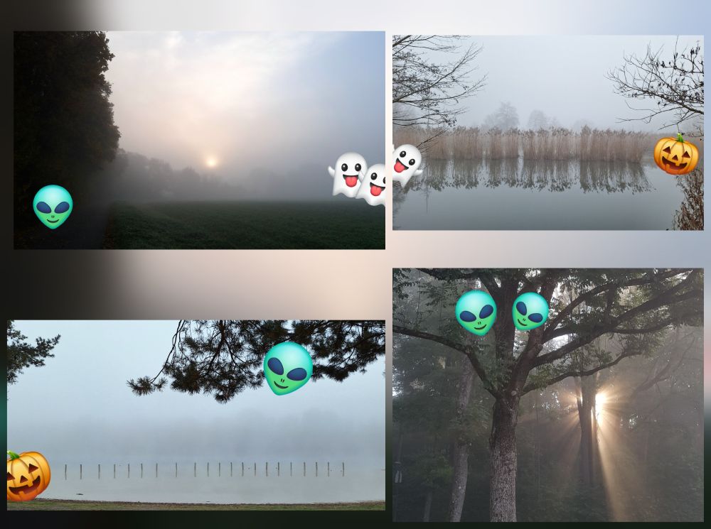 Vier Fotos mit nebliger Landschaft und Halloween Stickern 