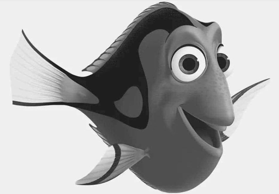 A Picture of Finding Dory in Gray