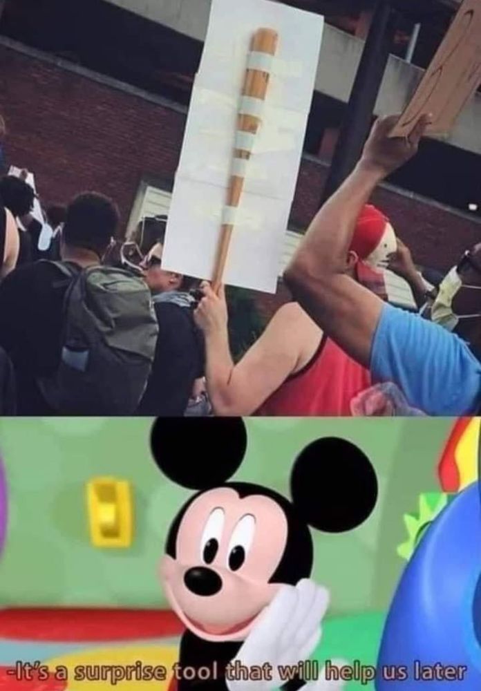 Top image of guy with protest sign using a bat

Bottom image of Mickey Mouse saying “it’s a surprise tool that will help us later”