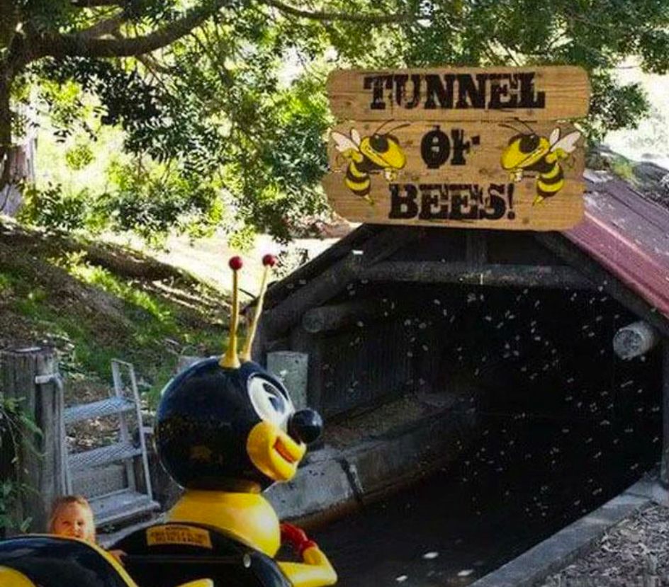 Girl in log flume decided like a bee about to go into a tunnel labeled “tunnel of bees” and there are bees literally everywhere 