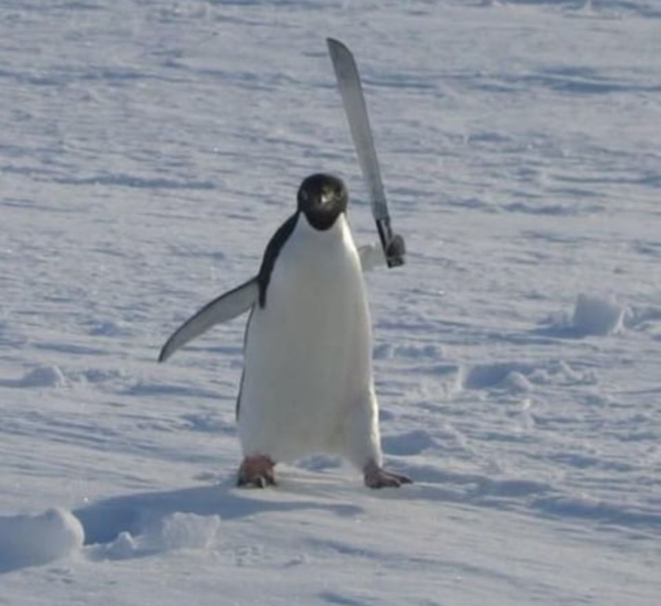 Running penguin brandishing a sword 