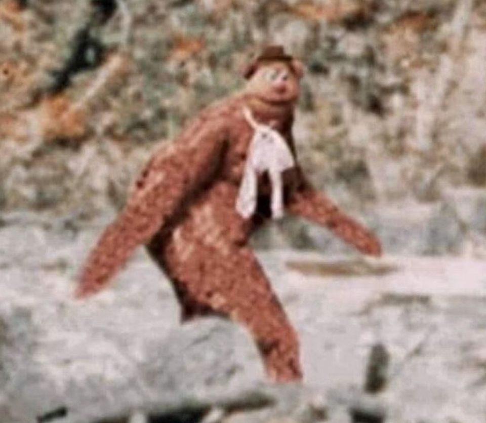 Fozzie the Sasquatch