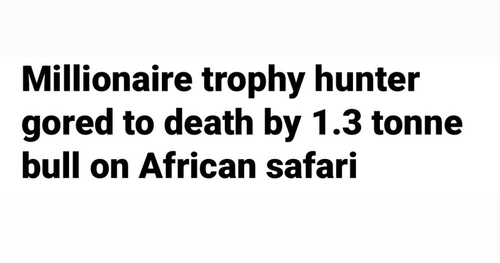 Millionaire trophy hunter gored to death by 1.3 tonne
bull on African safari