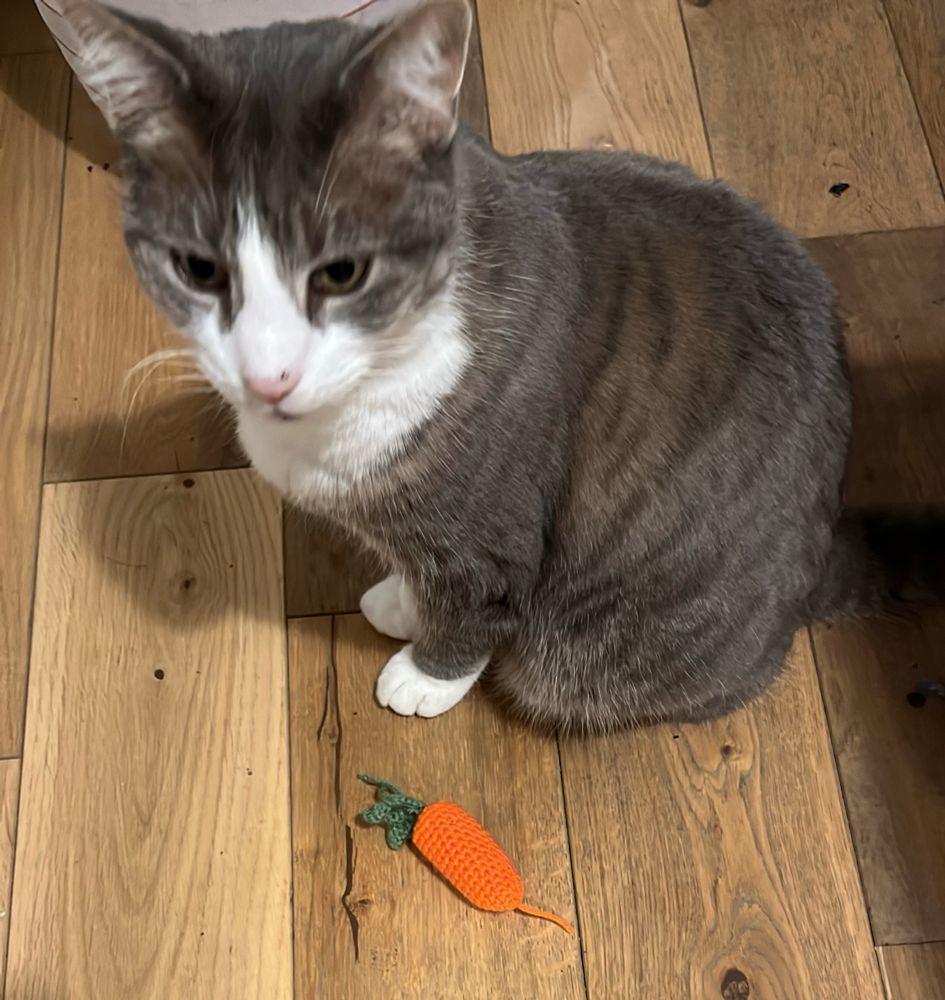 Tabby cat with a play, crocheted carrot