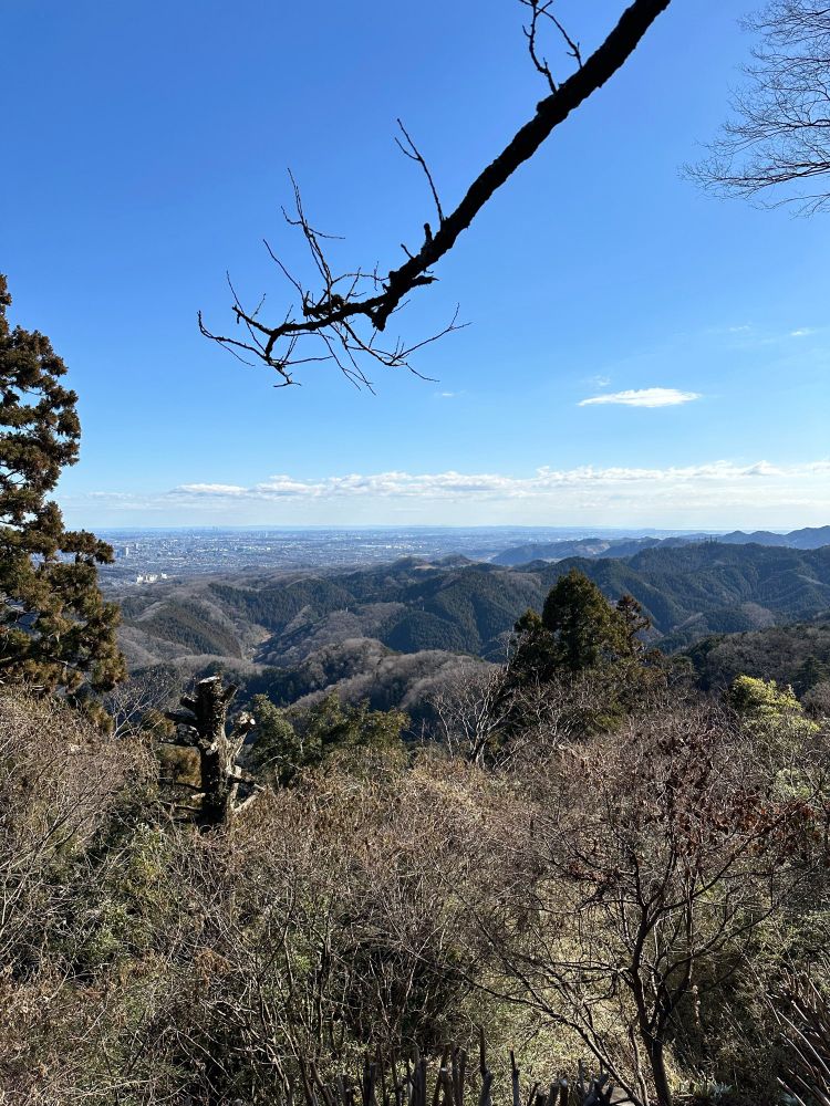 高尾山からの眺め