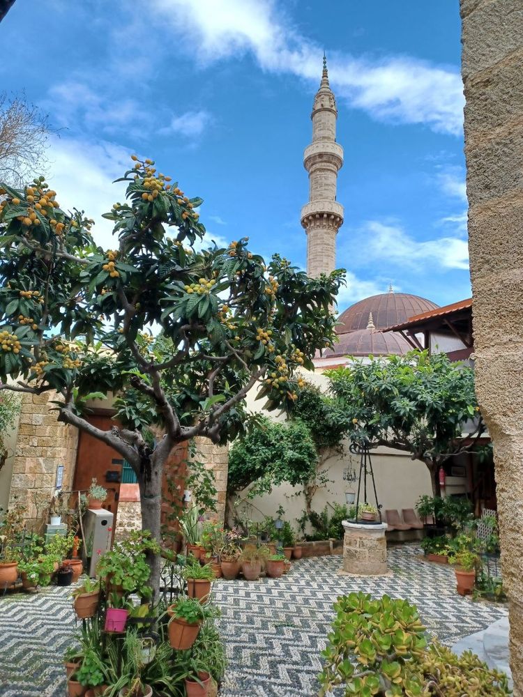 A courtyard with a few trees and many plants. The floors and black and white stone zigzag. In the background is a mosque.