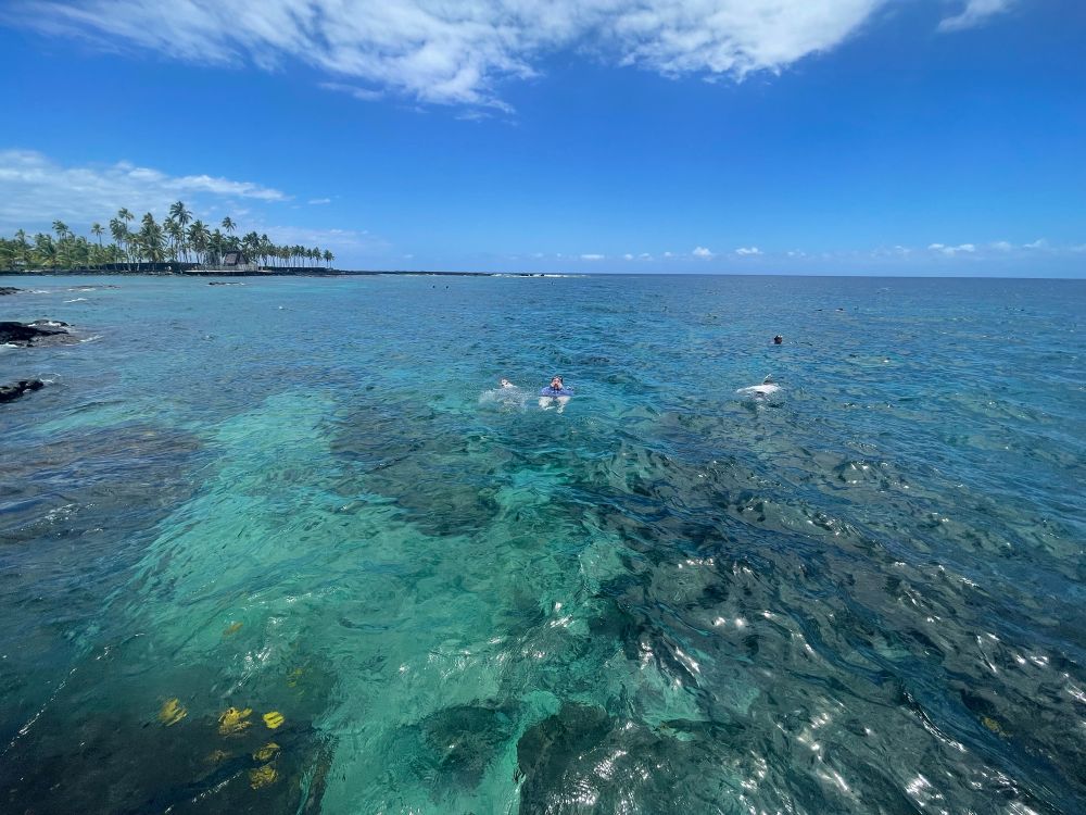 Snorkeling in Hawaii