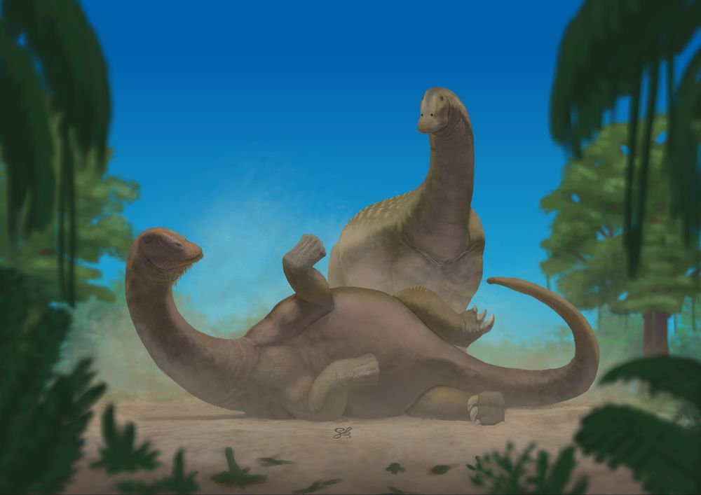 Two saltsaurus, one rolling on the dirt and the other watching