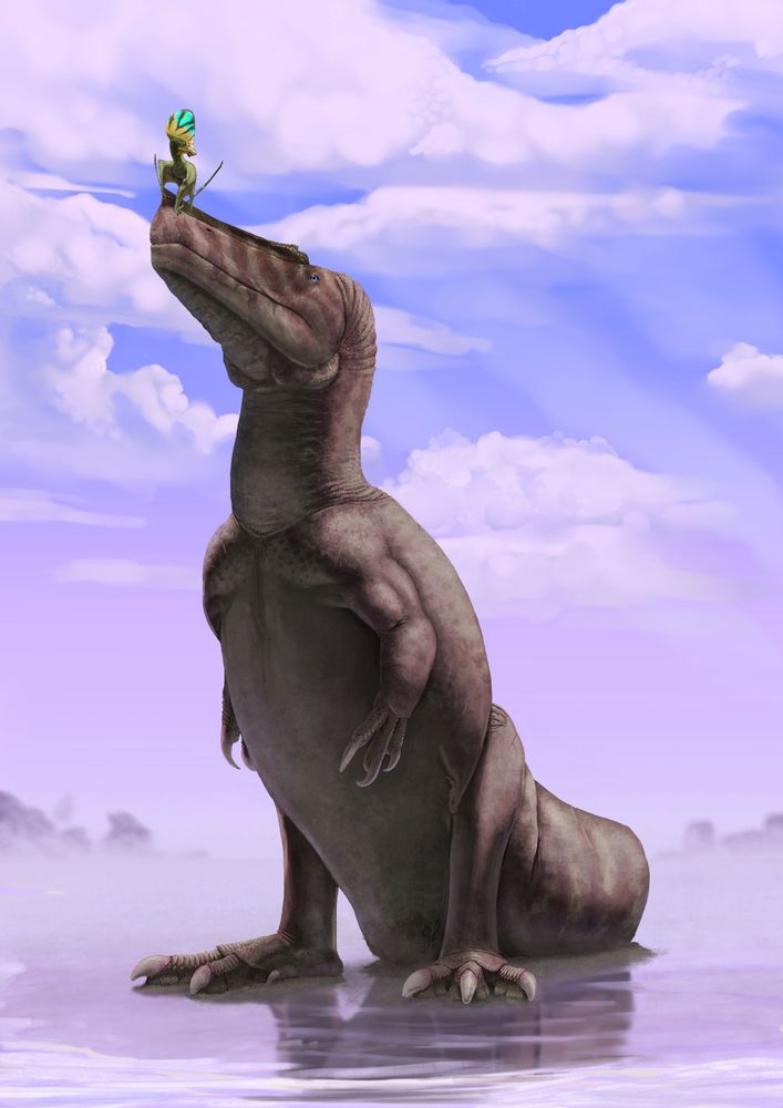 Irritator challengeri sitting down on a beach