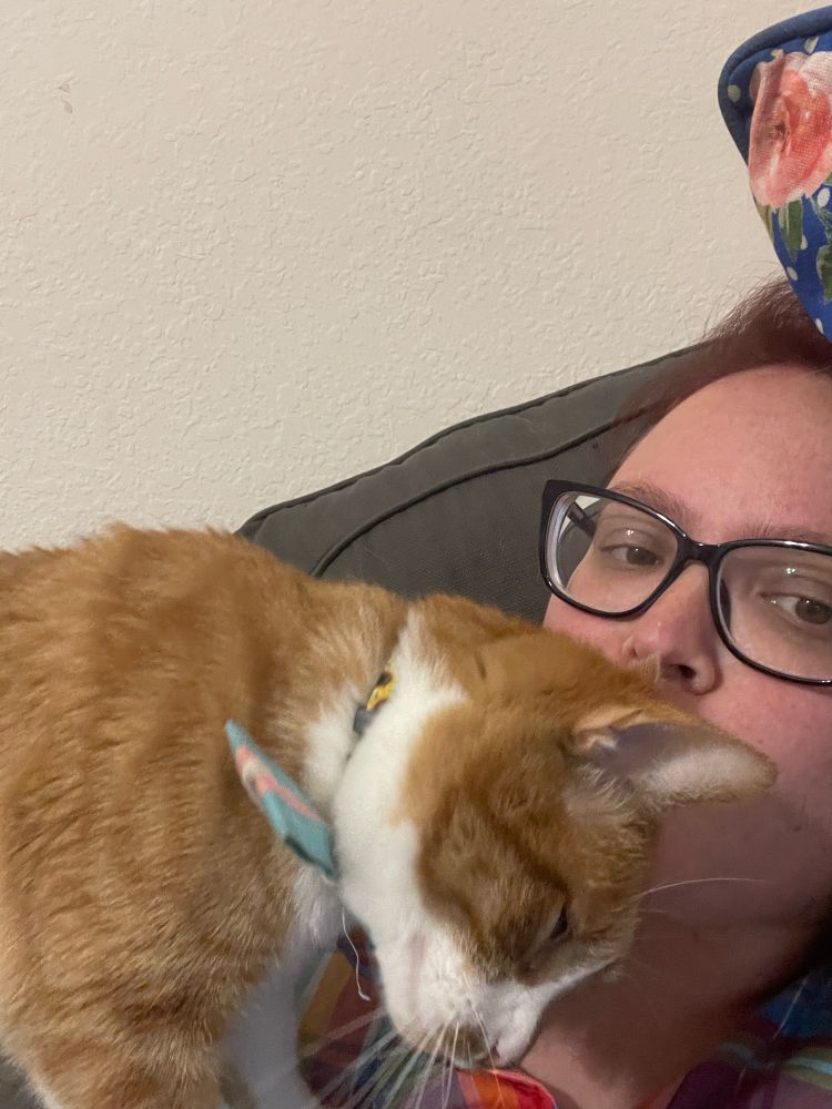 An orange and white cat leans in to press his head against the lips of a person wearing glasses.