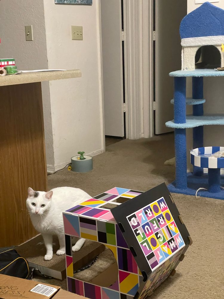 A white cat stands on a cardboard scratching pad. She has knocked the cardboard house meant to be on top of it onto its side.
