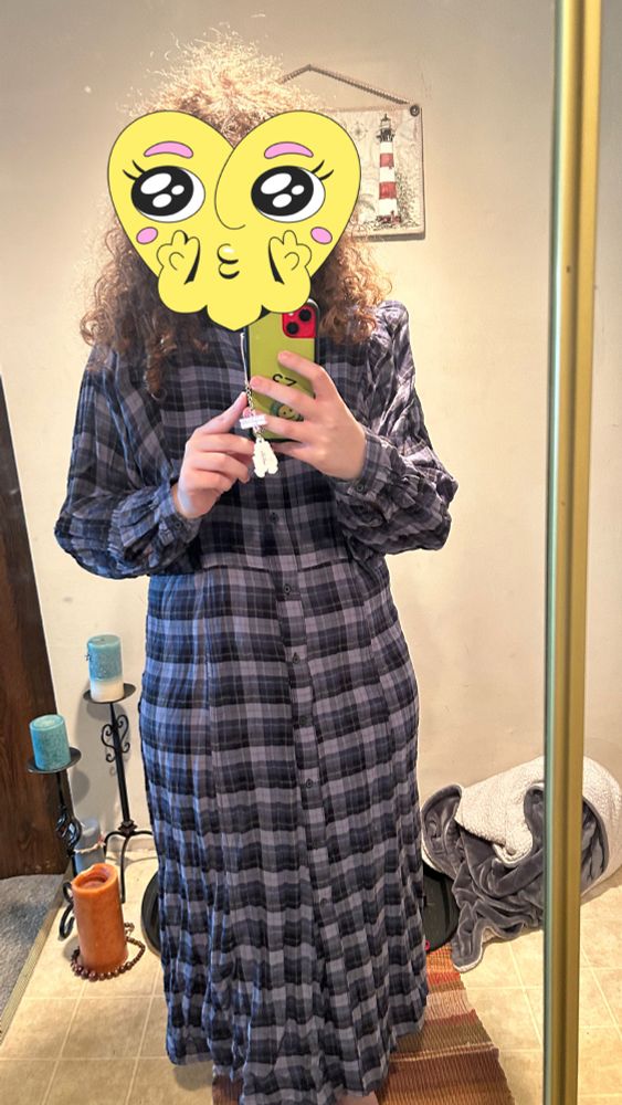 me in front of my mirror in a dark blue and black plaid dress.