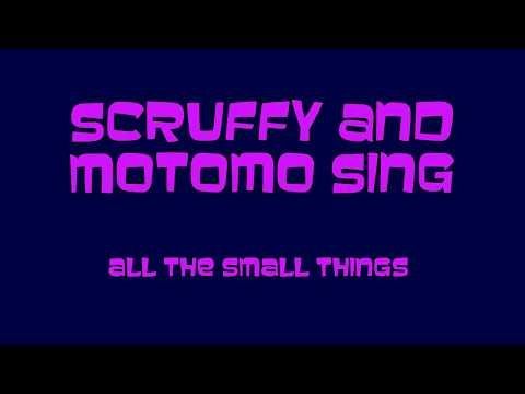 SCRUFFY AND MOTOMO SING: All The Small Things