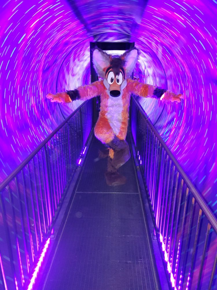 Scruffy 1.0 in a spinning tunnel thingy.