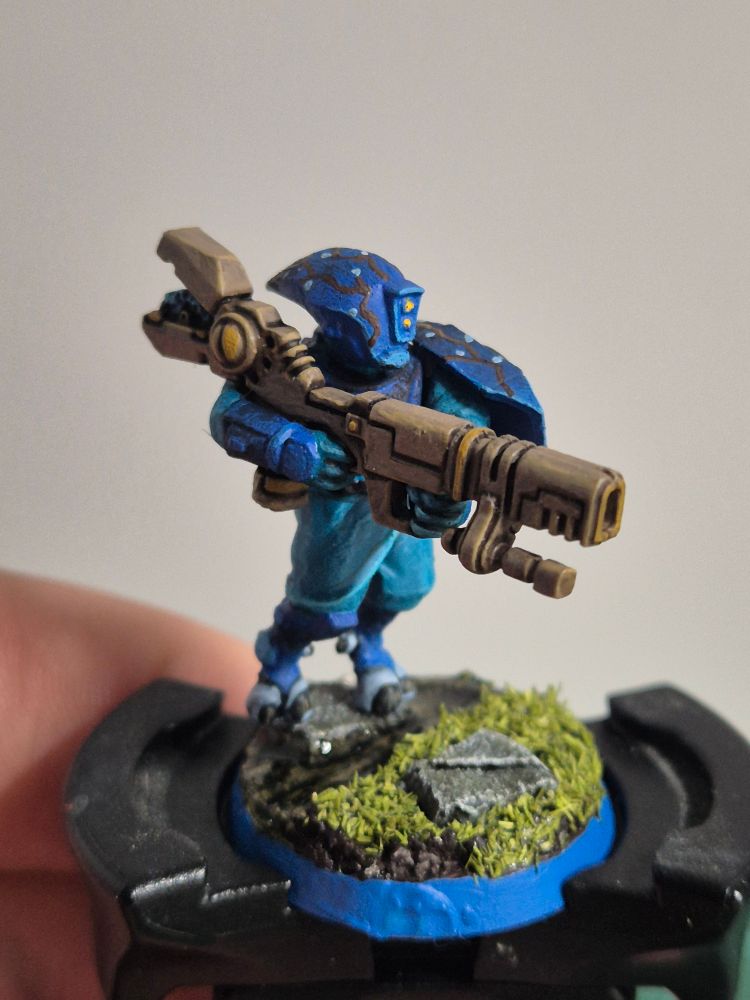 T'au pathfinder for a Kill Team. The T'au's armour is painted in a light blue, transitioning to a darker one. On his helmet, there are branches painted, with silvery blossoms. His jump suit is painted in a turquoise colour. He is standing on a stepping stone on water, the grassy shoreline right in front of him.

He is shown from the right, his heavy weapon, an ion rifle, in focus. The weapon is painted in light btownish colours, with almost yellow accents.
