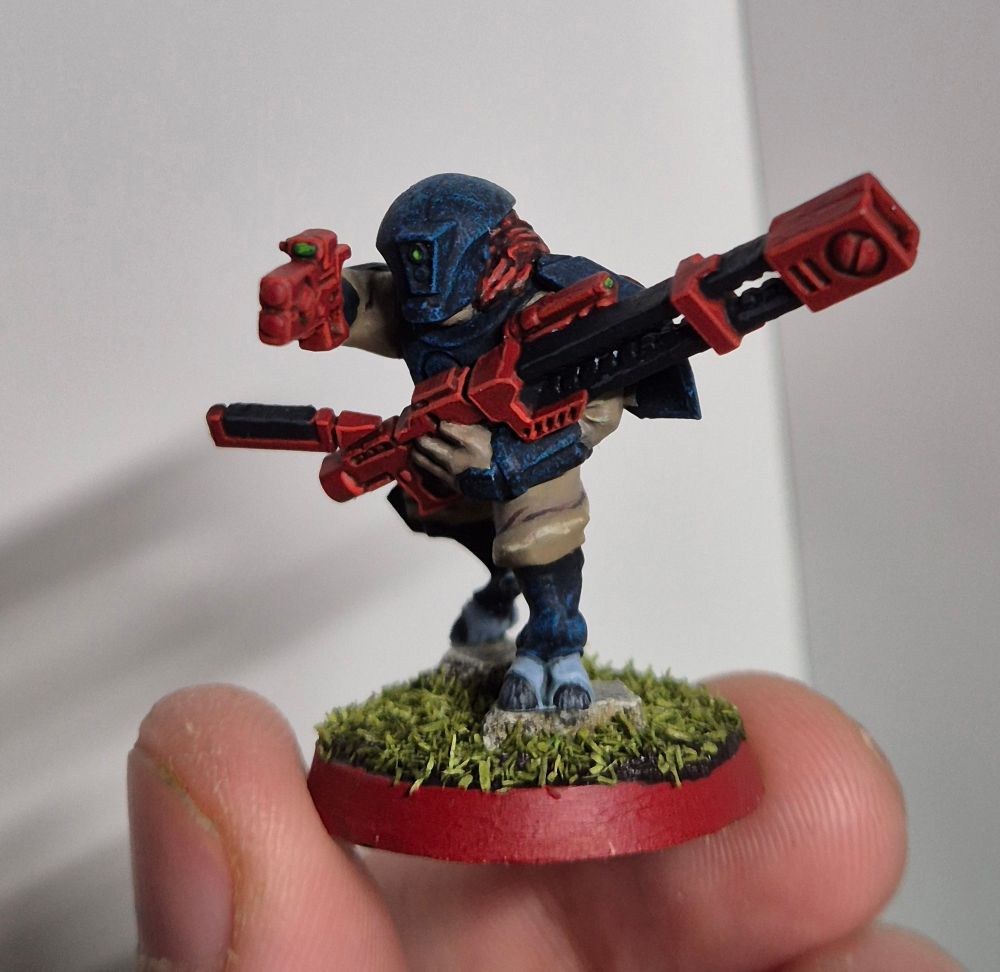 Close up of a T'au Pathfinder. His clothes are beige, the armor a deep blue with lighter blue sprinkled in. His weapons are a bright red. Around his neck is a trimming of fur, dark red in colour. The eye of his helmet is a light green.

He is standing on two stepping stones amidst gras. He is shown from the front.