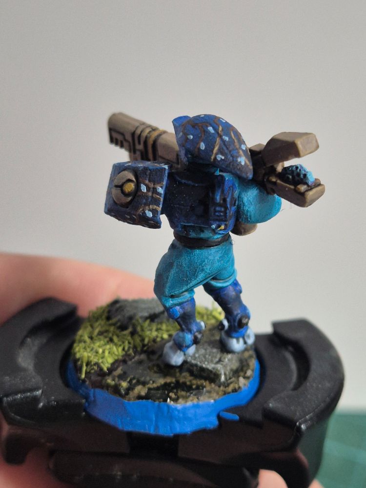 T'au pathfinder for a Kill Team. The T'au's armour is painted in a light blue, transitioning to a darker one. On his helmet, there are branches painted, with silvery blossoms. His jump suit is painted in a turquoise colour. He is standing on a stepping stone on water, the grassy shoreline right in front of him.

Shown from behind. His jump suit is better visible, along with the back of his armour, where the transition from light to dark is more obvious.